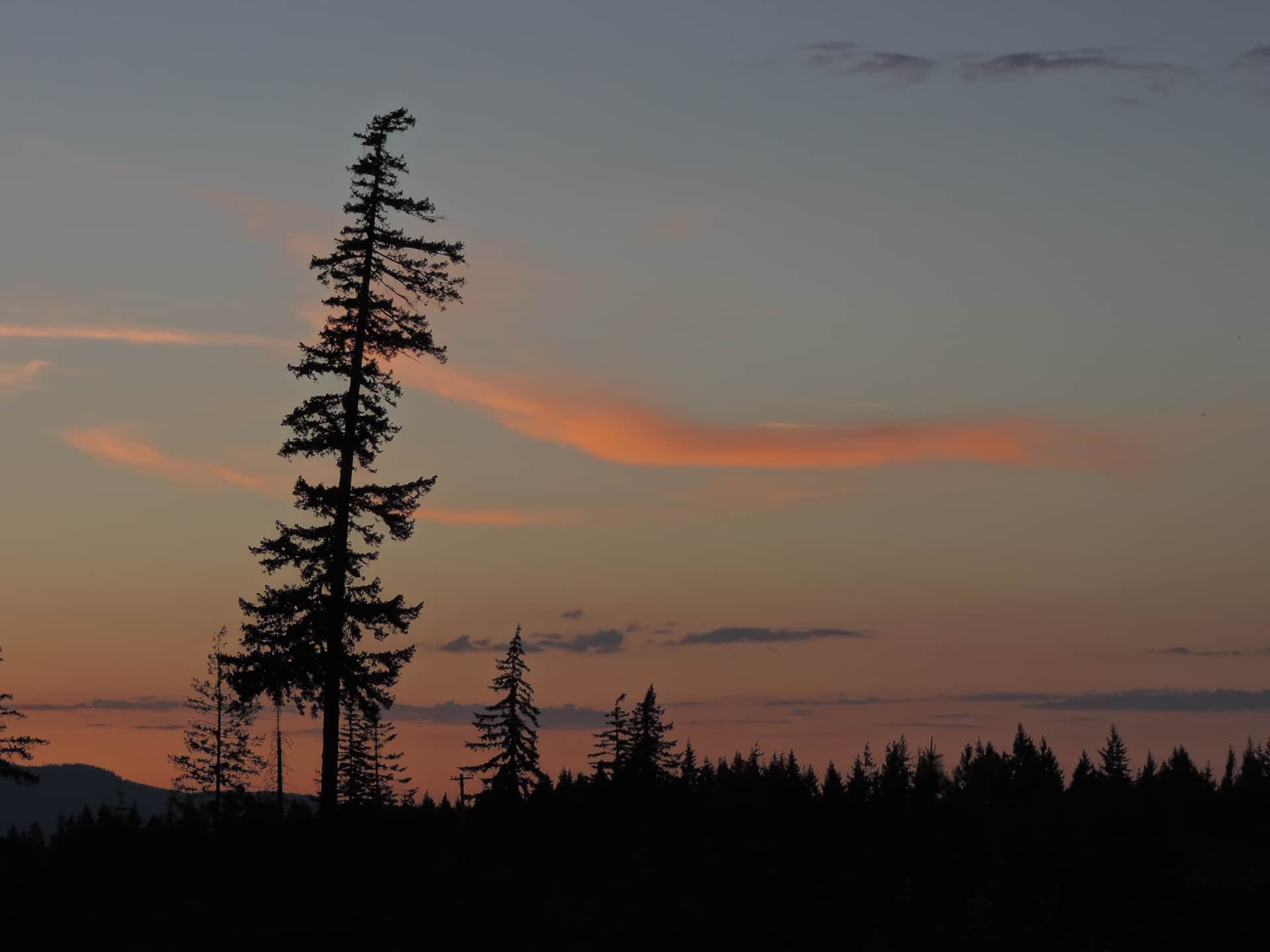 About Lothlorienwoods Vacation Rentals