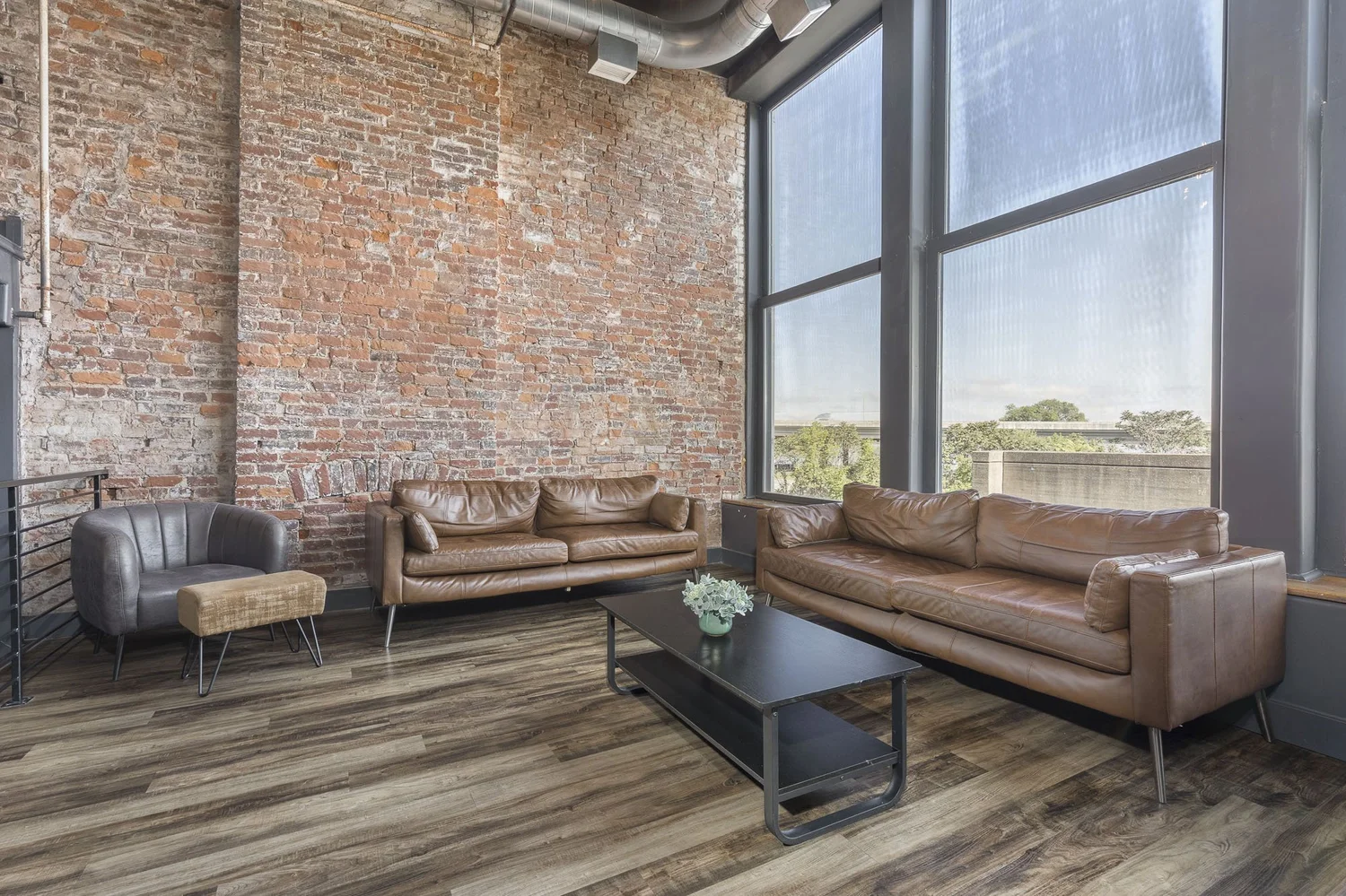 Derby City Plush Loft