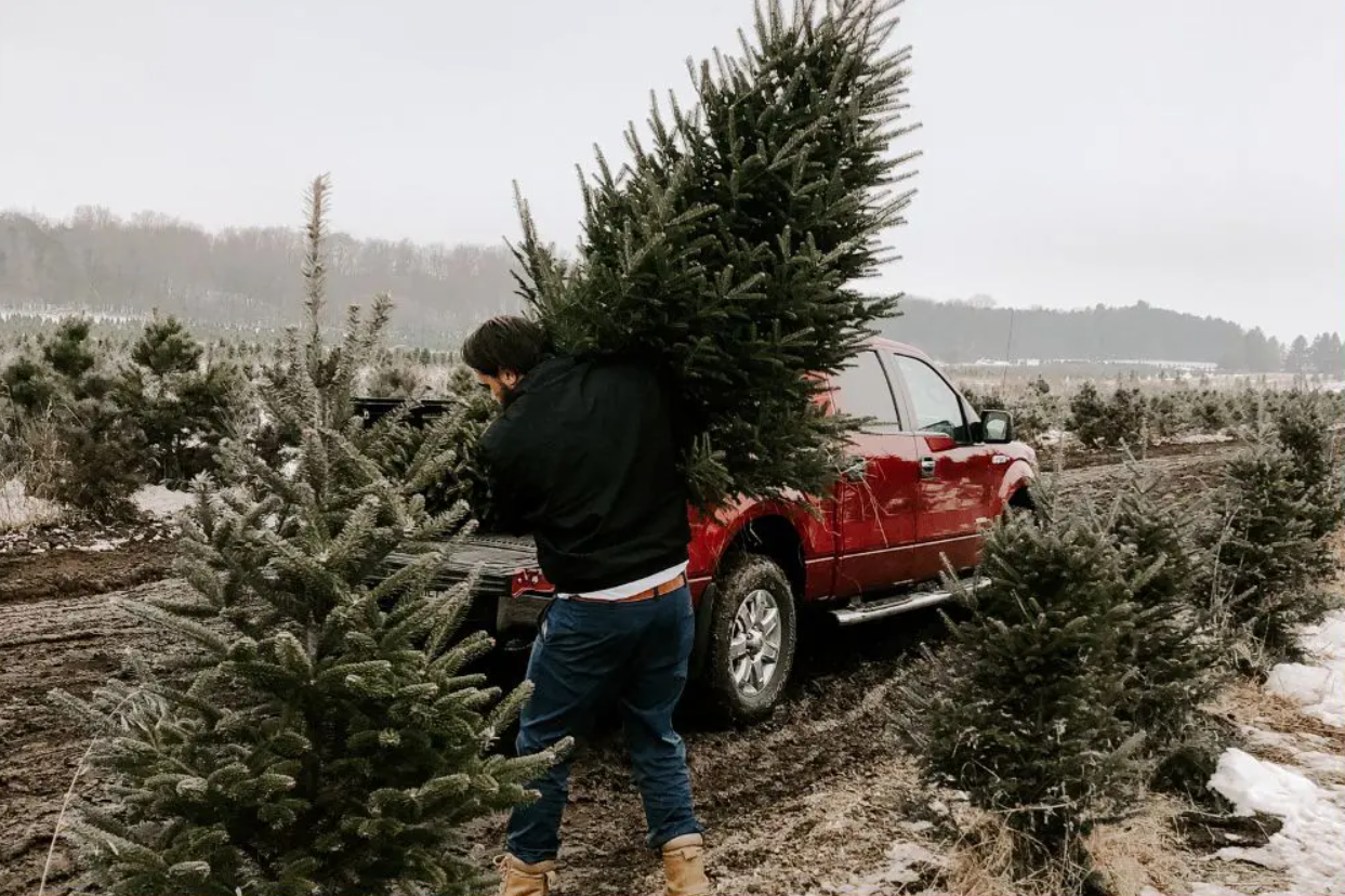 The Black Hills in December: Ultimate Winter Vacation