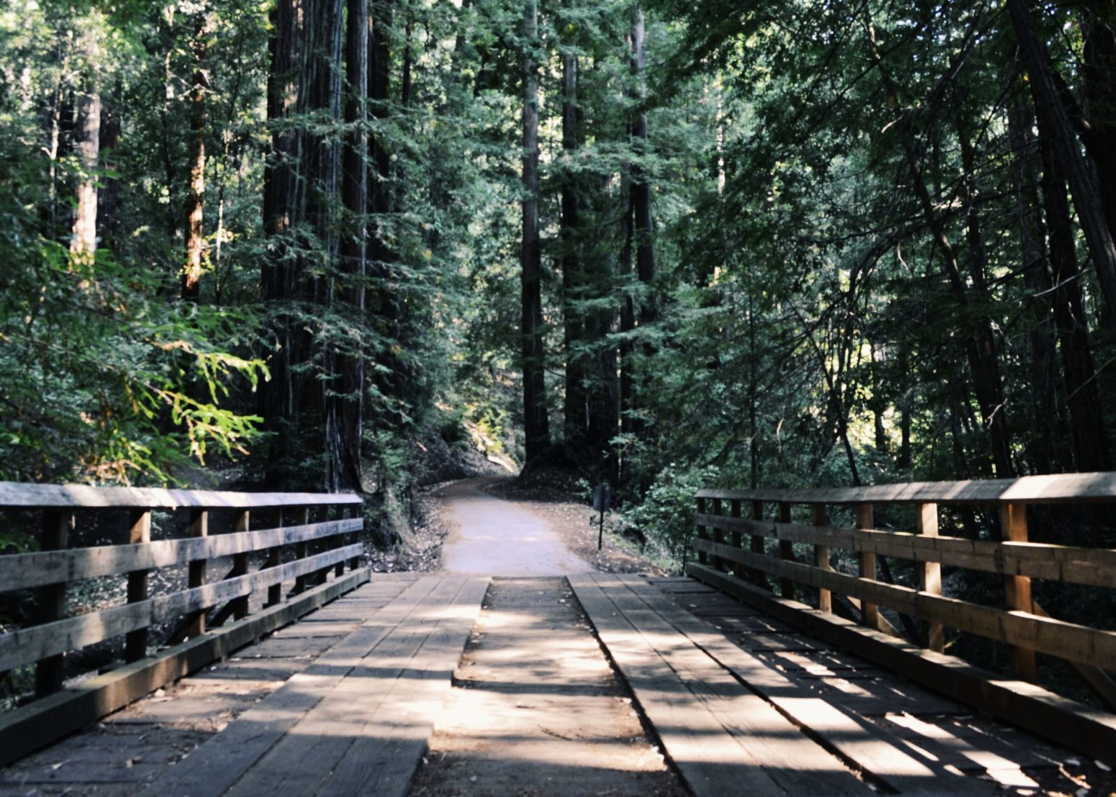 Black Hills Vacation Itinerary