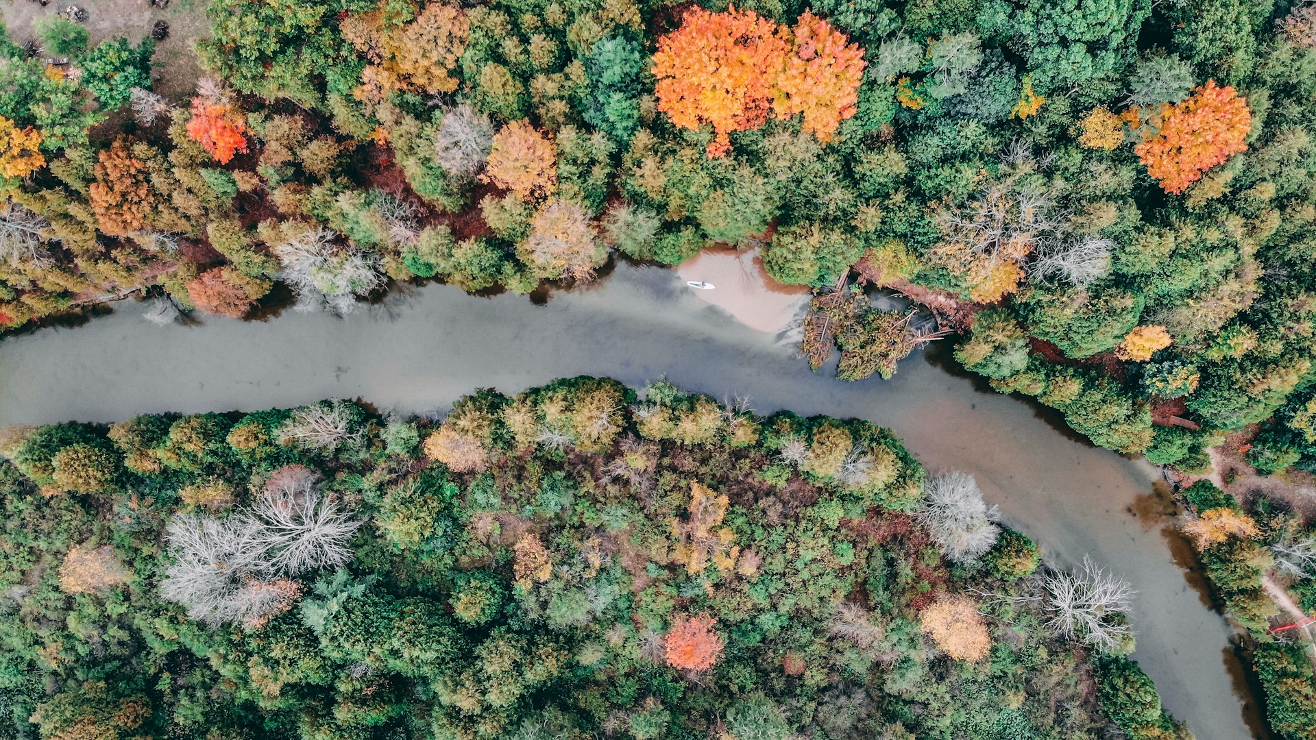 5 Ways to Explore Traverse City Before the Holidays