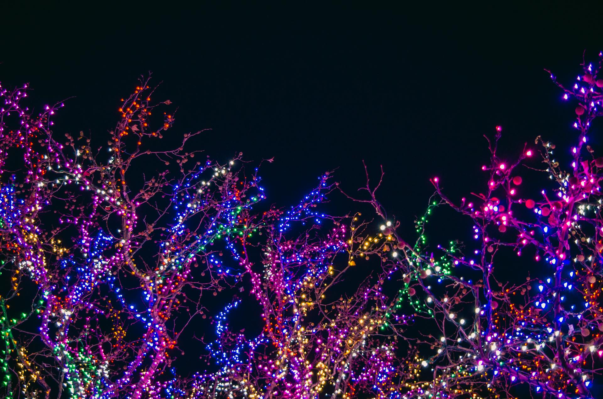 Where to See Christmas Lights in Traverse City