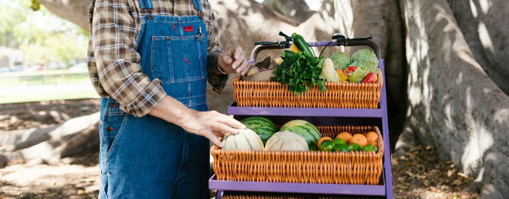 Local Farmers and Craft Markets in Traverse City, MI