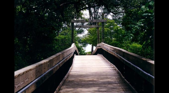 Embrace Nature’s Playground at John U. Lloyd Beach State Park