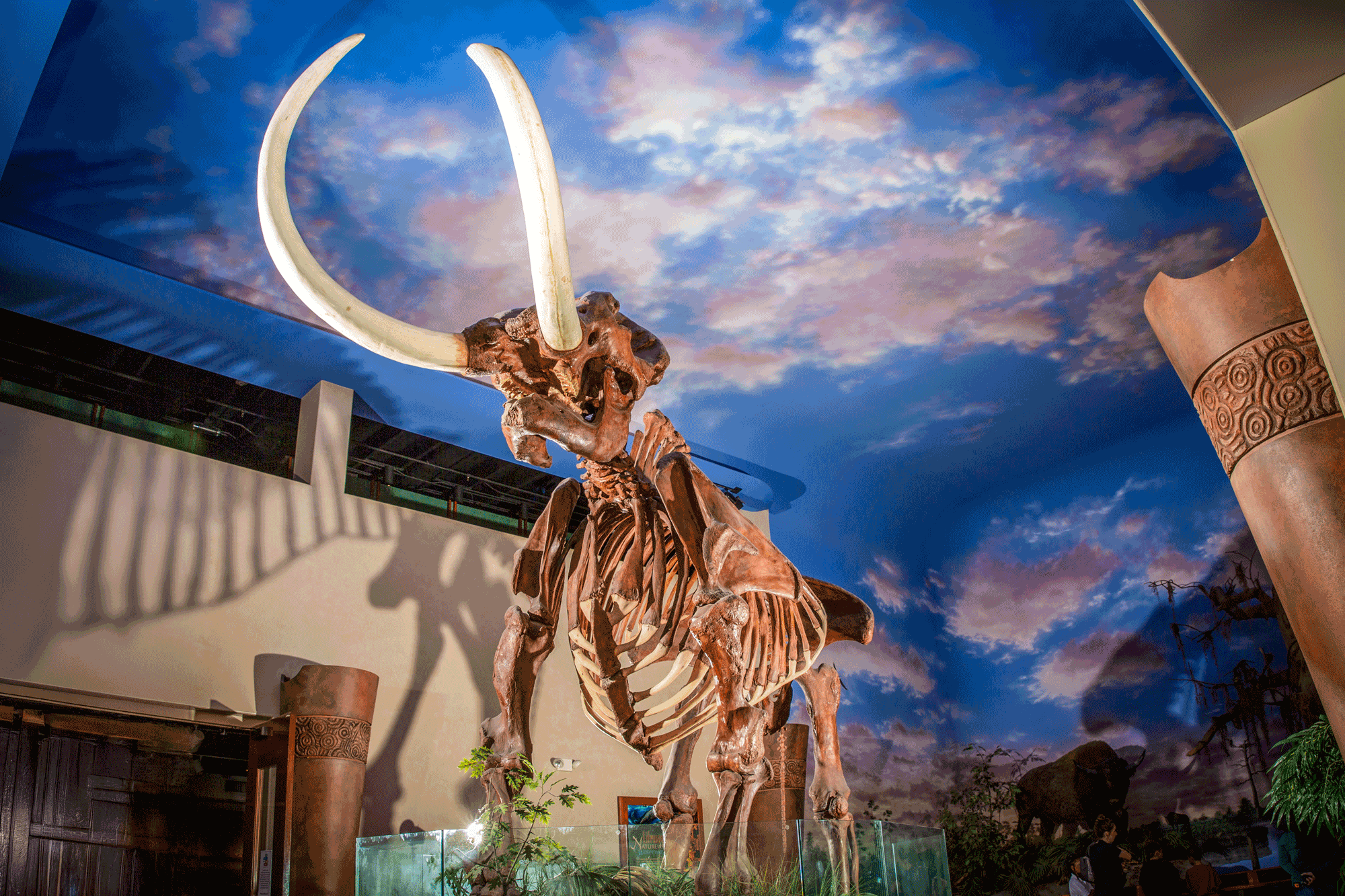 Bishop Museum of Science and Nature