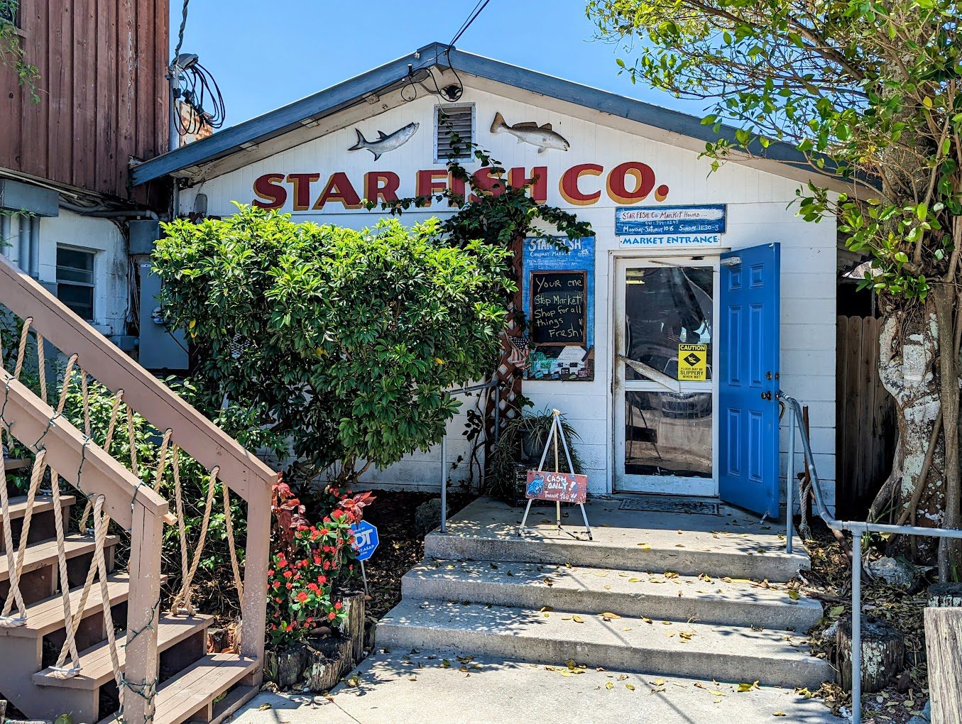 Star Fish Company