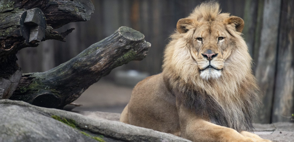 Cleveland Metroparks Zoo