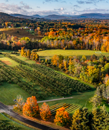 36 Hours in the Berkshires